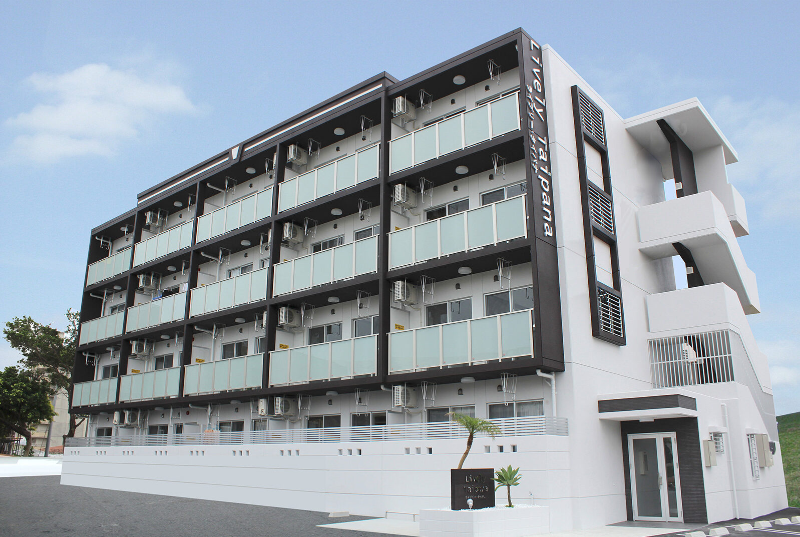 【Lively Taipana（ライブリータイパナ）】