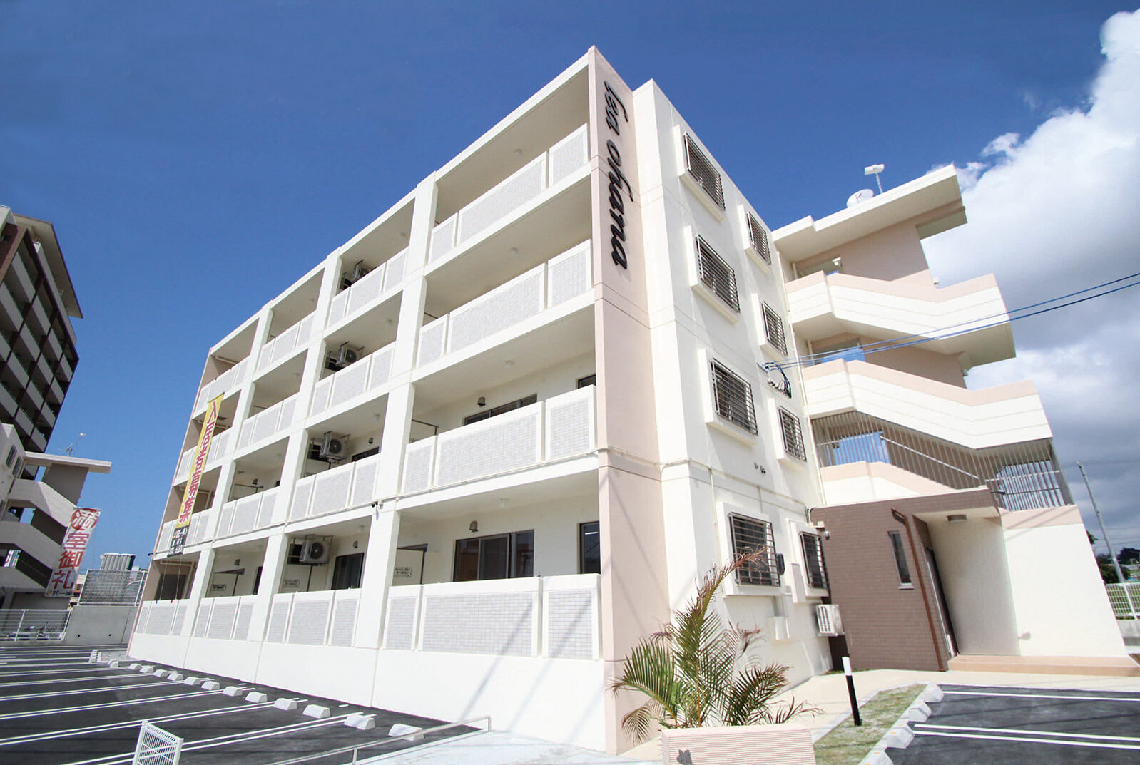 Ambitious【Lea Ohana(レア オハナ)】